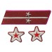 БАТАЛЬОННЫЙ КОМИССАР, ВОЕНВРАЧ 2-го ранга, ВОЕНВЕТВРАЧ 2-го ранга, ВОЕННЫЙ ЮРИСТ 2-го РАНГА войск НКВД, петлицы и нарукавные знаки обр.1935/36 г..